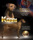 Rhodesian Ridgeback �t��ata