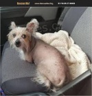 P�NSK� A D�MSK� ��NSK� �T��ATA K DISPOZICI K DISPOZICI