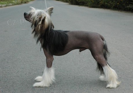 ��nsk� nah��