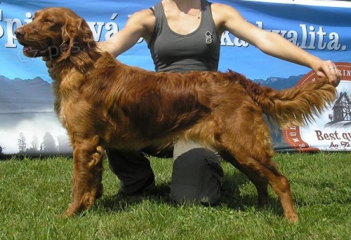 Ztracen� fenka n�meck�ho k�epel�ka