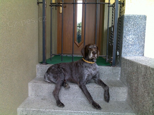 Ztratil se Wart - n�meck� oha�