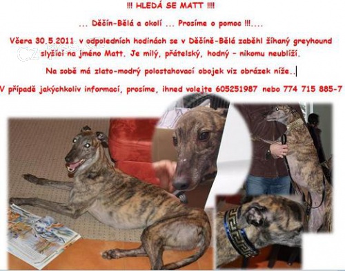 Ztratil se ��han� greyhound Matt