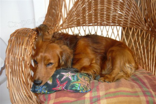 PROS�ME O POMOC!!!