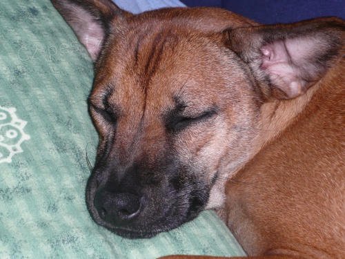 Pros�m vra�te m� SABRINKU a VENDULKU!!!