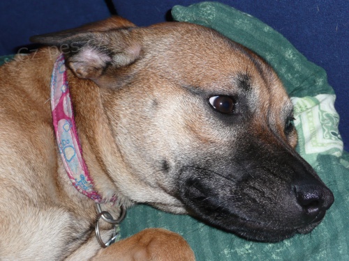 ST�LE HLED�M FENKU SABRINU!!!!