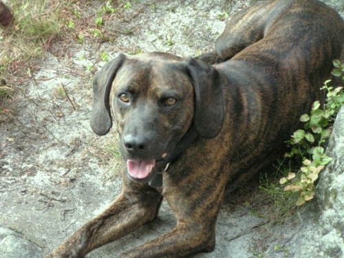 N�LEZN� 5000 K�,��han� k��enec  barv��e