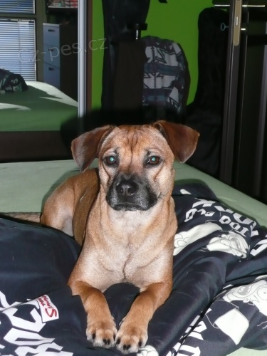 ST�LE HLED�M SABRINKU!!!