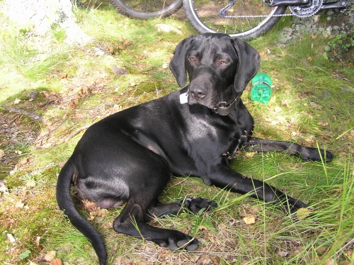 Hled� se Ruby-Praha