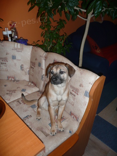 SABRINKO PROS�M KDE JSI VRA� SE!!!