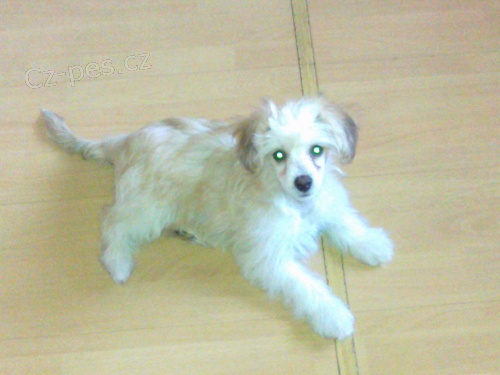 hled� se �t�n�