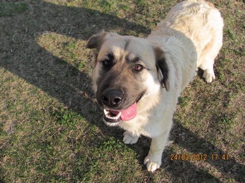 Ztratila se fene�ka