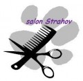 Ps� salon Strahov
