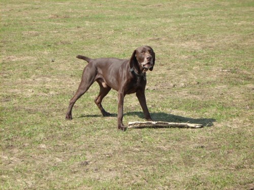 Hled� se nev�sta 