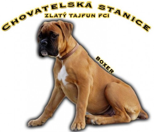 Zad�m �t��atka s PP