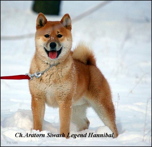 Zad�me �t�n�tka