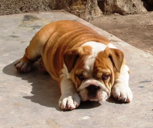 Zad�m �t��ata