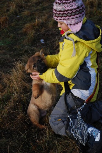 N�meck� ov��k bez PP