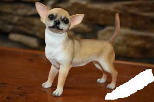 Koup�m �ivavu, �ivava 