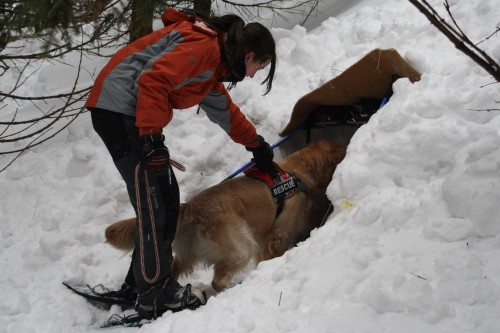 V�cvik v Tatr�ch