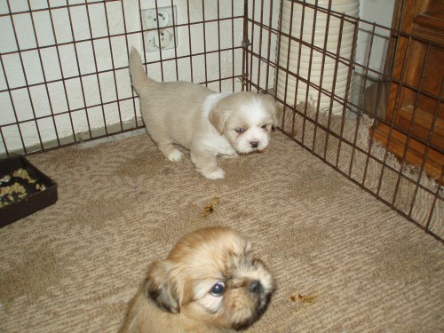 Prod�m �t���tka