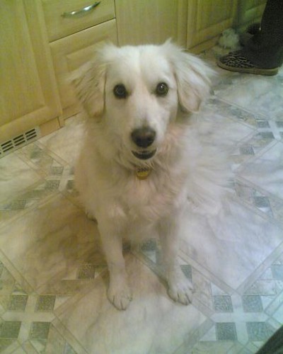 P��BRAM - HLED�ME PSA