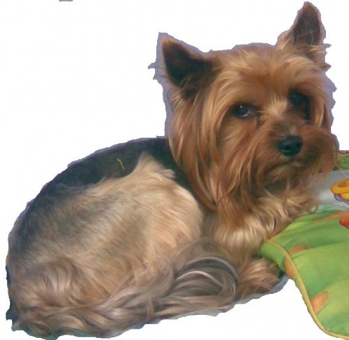 Stale hledame !!!!!!!