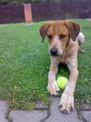 st�le se hled� maiki