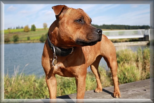 Pomoc p� p�tr�n