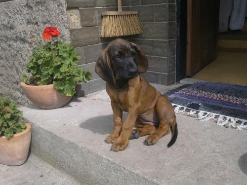 ztracen� �t�n�