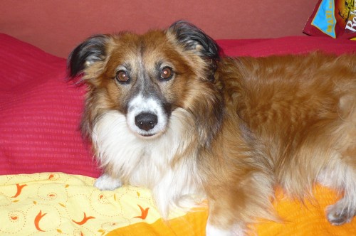 Ztracen� Mat�sek