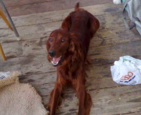 Pros�m o pomoc Stratil se mi Max Irsk� setr