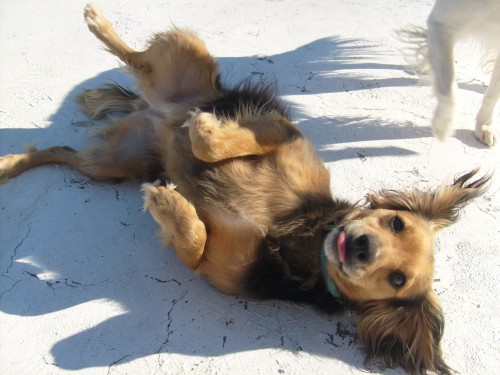 St�le hled�me ztracenou J�linku