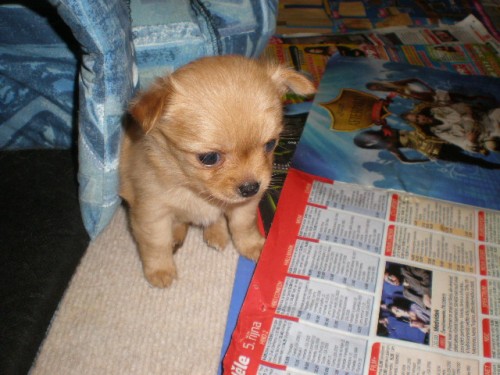 �T��ATA  DLOUHOSRST� �IVAVY BEZ PP !