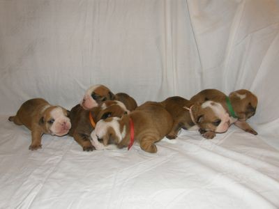 Prod�m �t��ata s PP