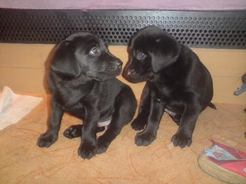 Posledn� �t���tka SLEVA