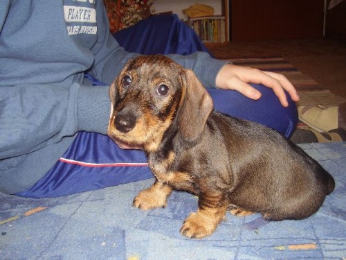 Prod�m �t�nata