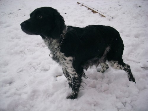 �T��ATA BRETA�SK�HO OHA�E s PP