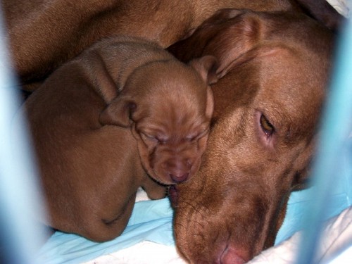 �t��ata ma�arsk�ho oha�e