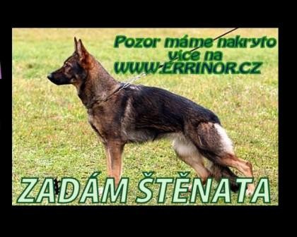 N�MECK� OV��K-ZAD�M �T�NATA