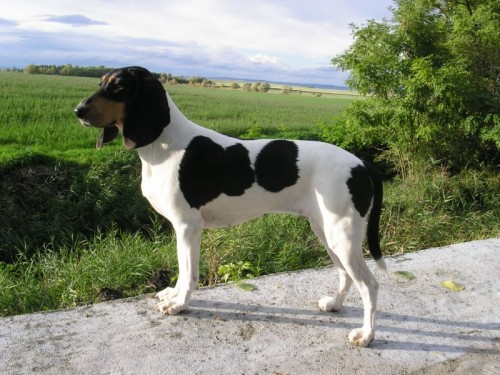 Zad�m �t��ata