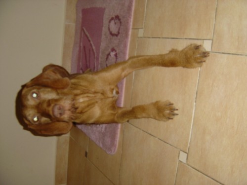 Prod�m �t��ata