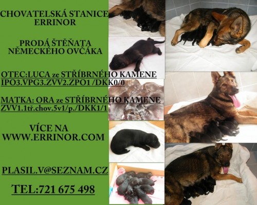 N�MECK� OV��K-PROD�M �T�NATA