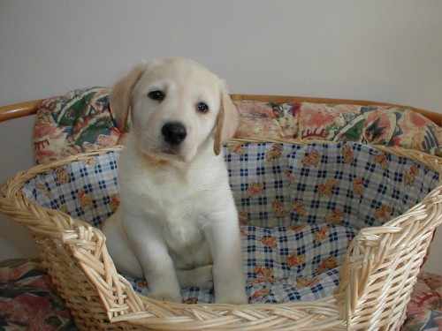 z�znam na �t�n�tka