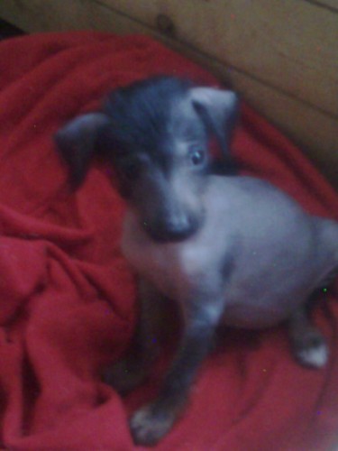 Peru�nsk� nah��