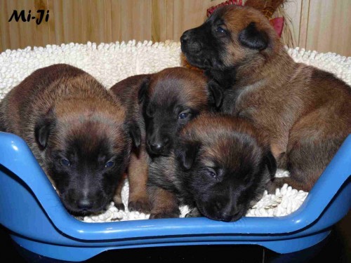 pracovn� spojen�