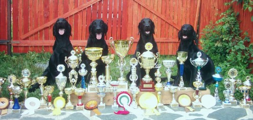 Flat C. Retr�vr - �t��ata s PP