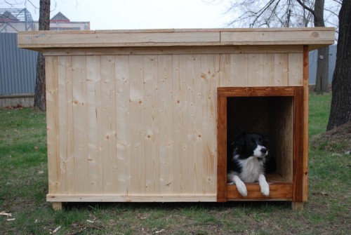 Ps� boudy na zak�zku