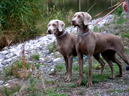 �T��ATA V�MARSK�HO OHA�E KR�TK.