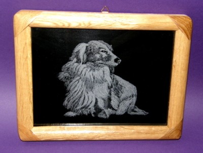 CO KUS, TO VAKC�NA !