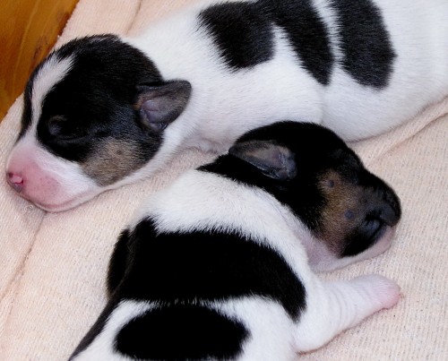 �t��ata k odb�ru 05/09